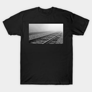 Misty Afternoon in the Colorado Rocky Mountains T-Shirt